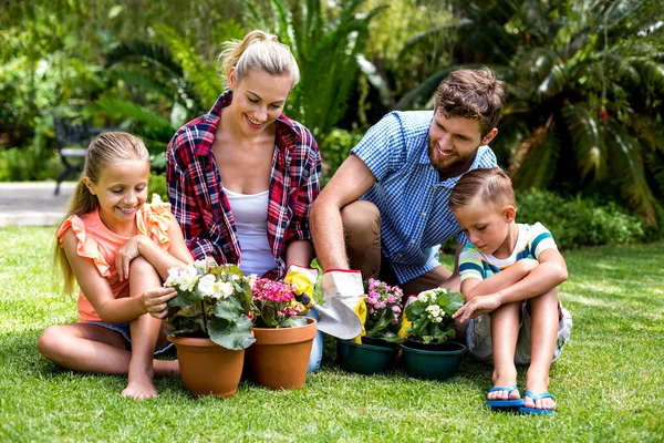 Familj med blomkrukor på gården — Stockfoto