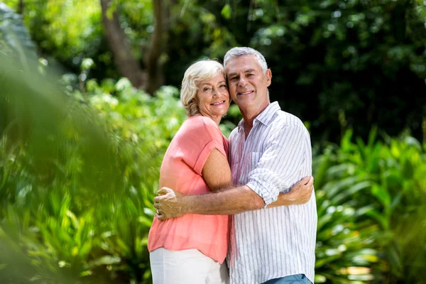 Äldre par embracing på gården — Stockfoto