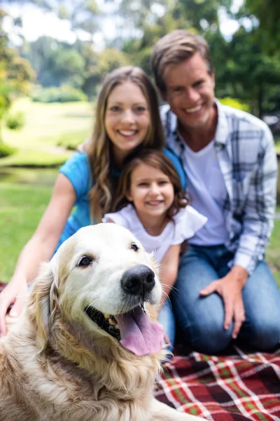 Family sitting in park with dog — Stock Photo, Image