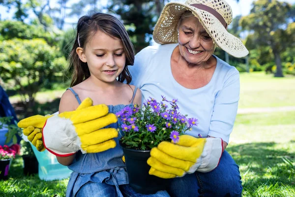 Abuela y nieta sosteniendo maceta — Foto de Stock