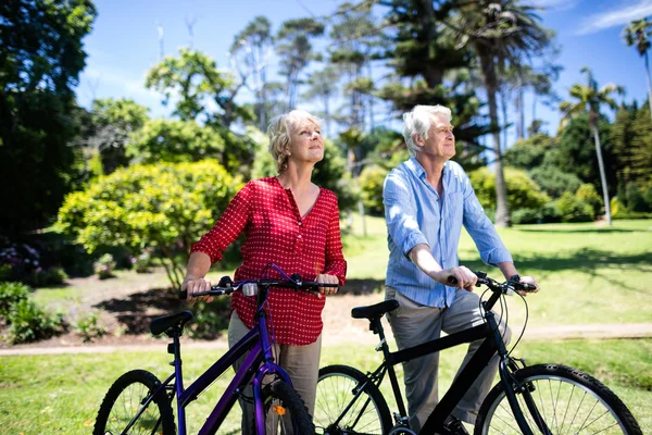 自転車で歩くカップル — ストック写真