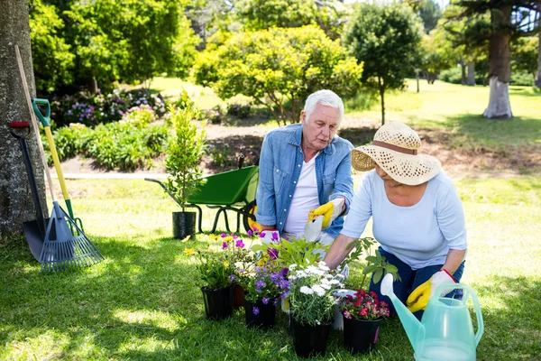 Giardinaggio di coppia nel parco — Foto Stock