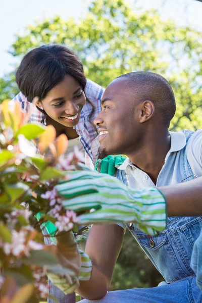 Jovem casal jardinagem juntos — Fotografia de Stock