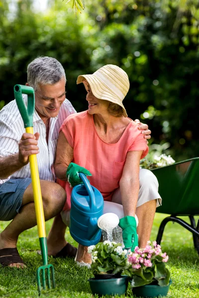 Casal com equipamento de jardinagem no quintal — Fotografia de Stock