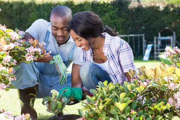 Jeune couple jardinage ensemble — Photo