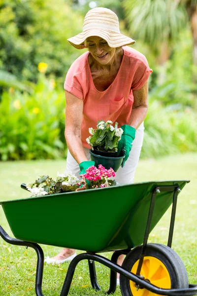 Kvinna med blomkrukor i gården — Stockfoto