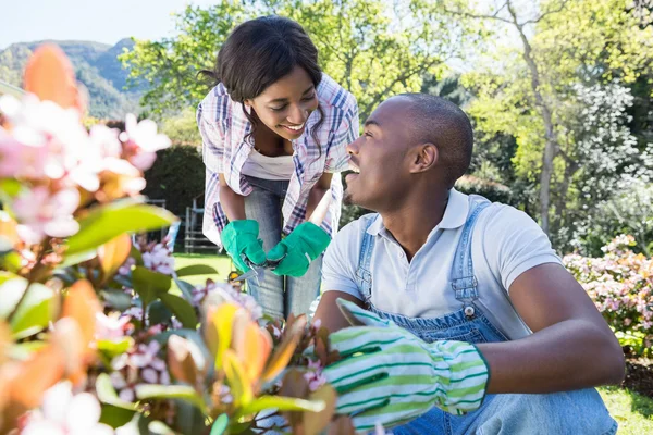 Jeune couple jardinage ensemble — Photo