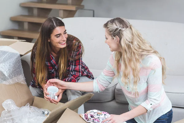 Amigos desembalaje cajas de cartón —  Fotos de Stock