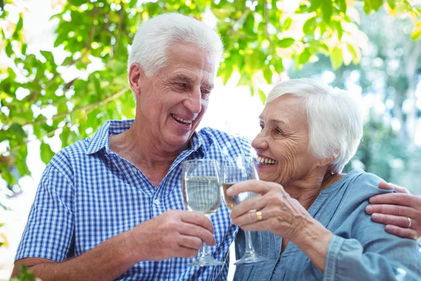 Casal brindar vinho branco — Fotografia de Stock