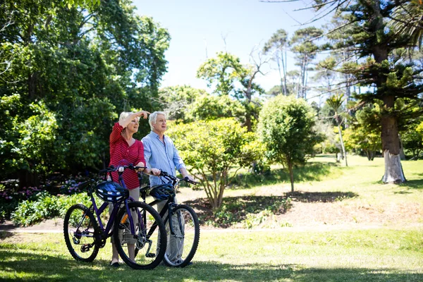 Старшая пара, гуляющая на велосипедах — стоковое фото
