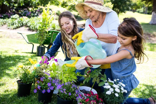 Jardinería familiar en el parque — Foto de Stock