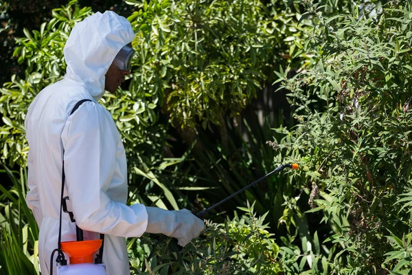 Man doing pest control — Stock Photo, Image