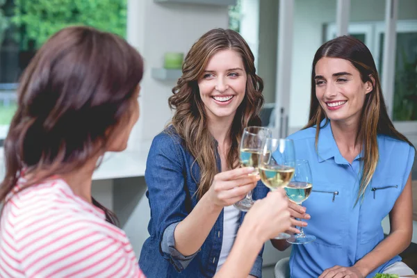Amigos brindando copos de vinho — Fotografia de Stock