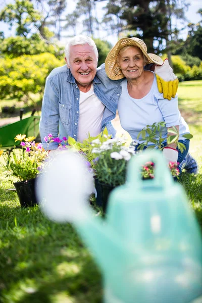 Jardinería en pareja en el parque —  Fotos de Stock