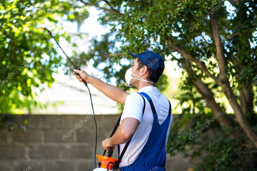 Pest control worker — Stock Photo © Wavebreakmedia 106126062