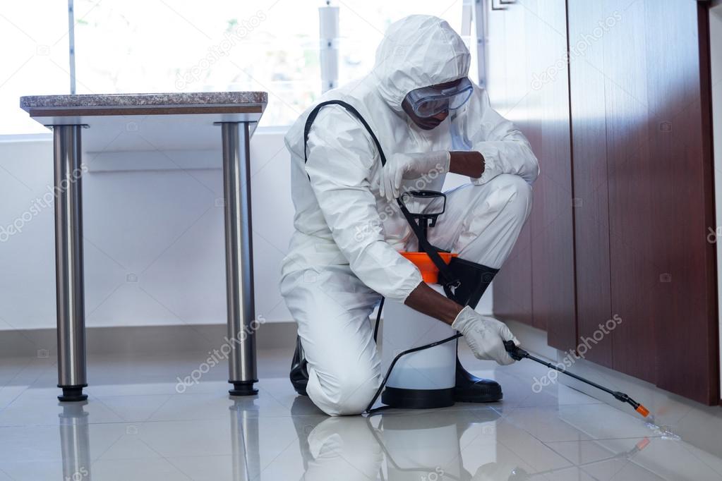 Man doing pest control Stock Photo by ©Wavebreakmedia 106126978