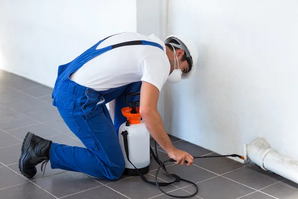 Lavoratore spruzzando insetticida sul tubo — Foto Stock