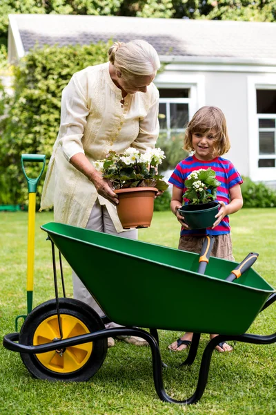 Бабуся і онук проведення горщики для квітів — стокове фото
