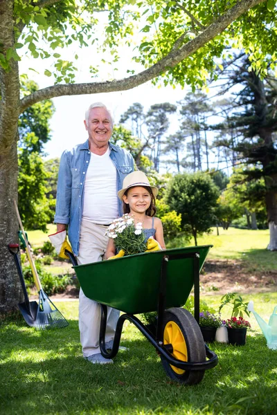 Grandfather carrying granddaughter in wheelbarrow — Stock Photo, Image