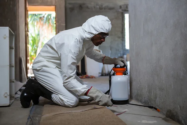 Man doing pest control on wall — Stock Photo, Image