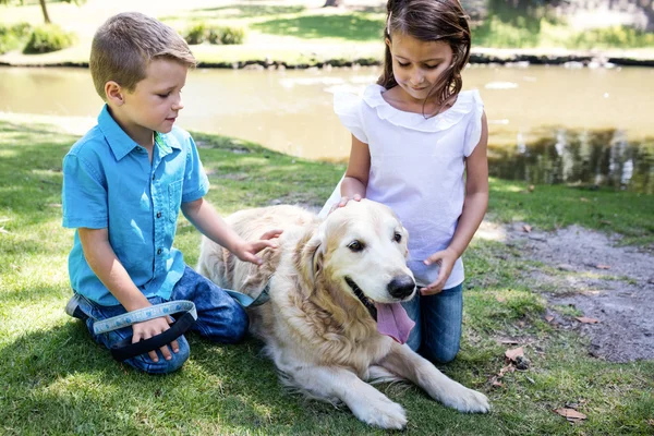 Broers en zussen klopte huisdier hond in park — Stockfoto