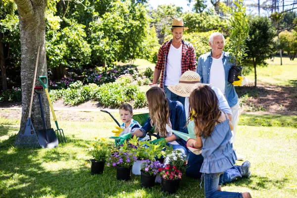 Familie tuinieren in park — Stockfoto