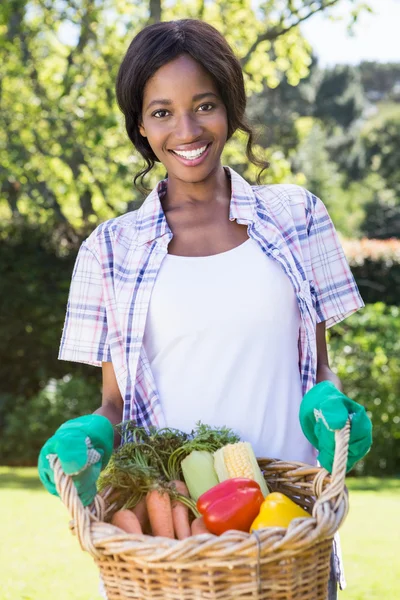 Zöldség nő gazdaság kosár — Stock Fotó
