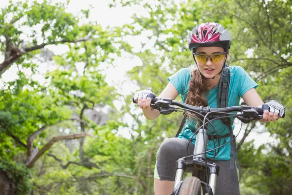 Bicicleta de montar mujer —  Fotos de Stock