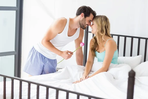 Homem oferecendo uma flor para a mulher — Fotografia de Stock