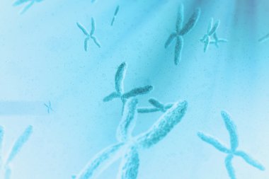 view of chromosomes against blue background clipart