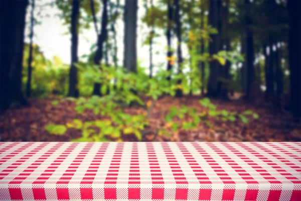 Red and white tablecloth against forest — Stock Photo, Image