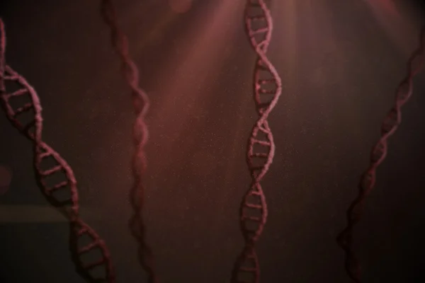 Просмотр структуры ДНК — стоковое фото