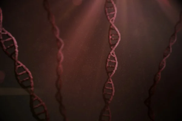 Weergave van de structuur van dna — Stockfoto