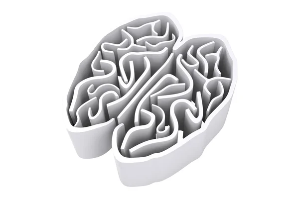 Labirinto cerebral contra fundo branco — Fotografia de Stock