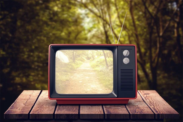 Retro tv contra camino en bosques — Foto de Stock