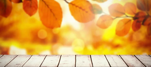 Wooden desk against autumn scene — Stock Photo, Image