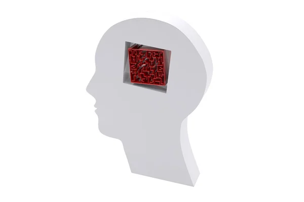 Maze brain in head — Stock Photo, Image