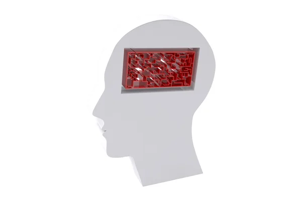 Maze brain in head — Stock Photo, Image