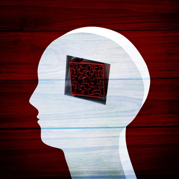 Maze brain in head — Stock Photo, Image