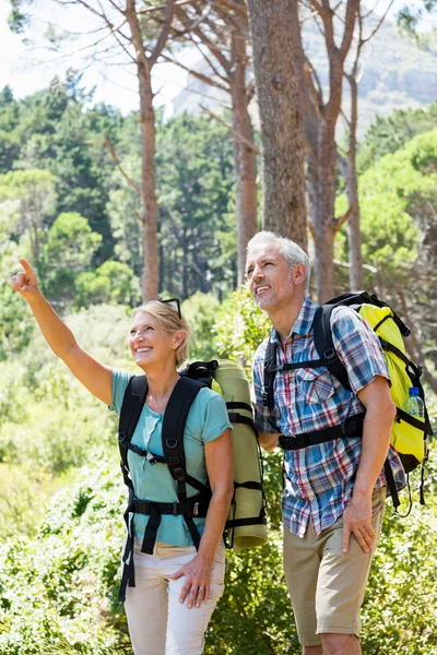 Senior paar staande en glimlachen — Stockfoto