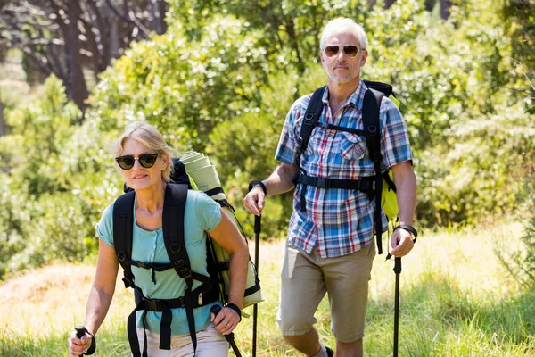 Senior couple standing with their stick — Stock Photo, Image