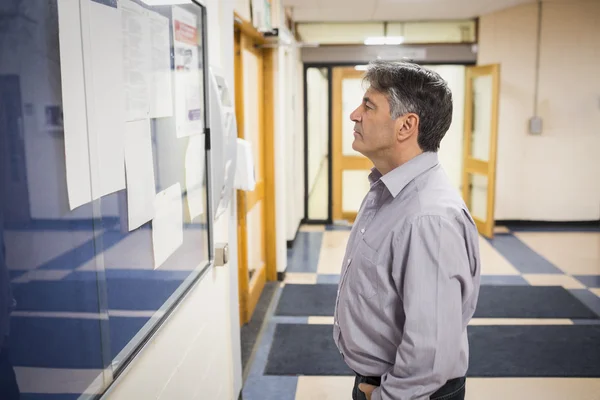 Professor reading notice board — Stock Photo, Image