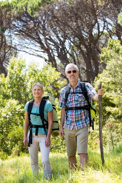 Senior couple standing with their stick — Stock Photo, Image