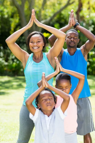 Glückliche Familie posiert zusammen — Stockfoto