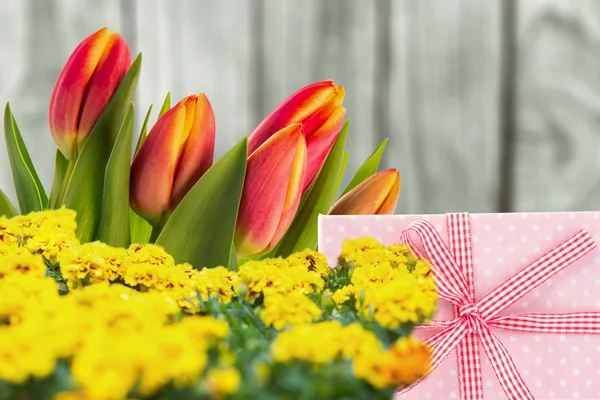 Složený obraz tulipánů — Stock fotografie