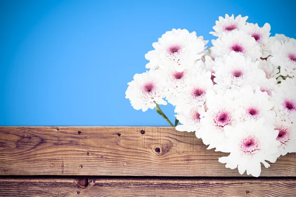 Composite image of flowers — Stock Photo, Image