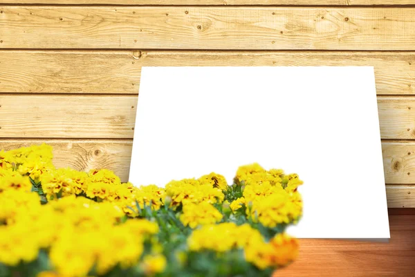 Složený obrázek žluté květy — Stock fotografie