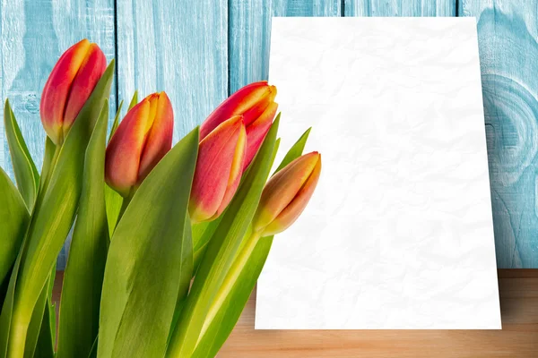 Zusammengesetztes Bild der Tulpe — Stockfoto