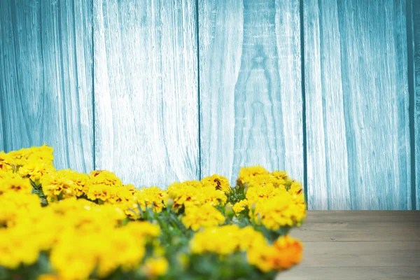 Imagem composta de flores amarelas — Fotografia de Stock