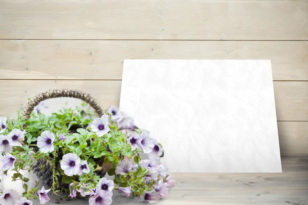 Sammansatt bild av blommor — Stockfoto